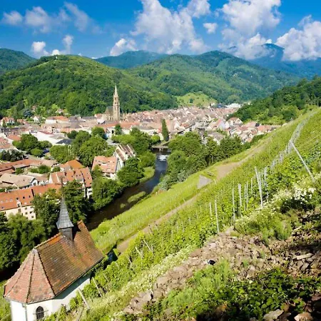 Family & Friends - Route Des Vins - Terrasse Vue