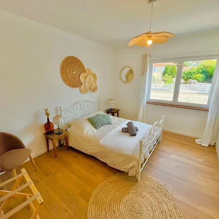 Family & Friends - Route Des Vins - Terrasse Vue