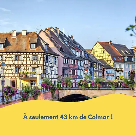 Feriehus Family & Friends - Route Des Vins - Terrasse Vue Aspach-le-Bas