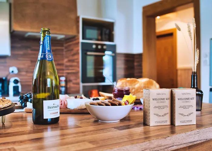 Family & Friends - Route Des Vins - Terrasse Vue *