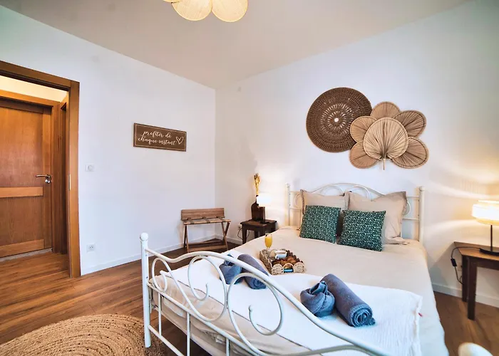 Family & Friends - Route Des Vins - Terrasse Vue Vakantiehuis